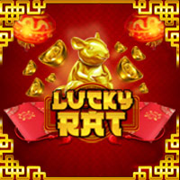 Lucky Rat