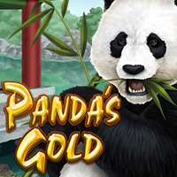 Panda's Gold